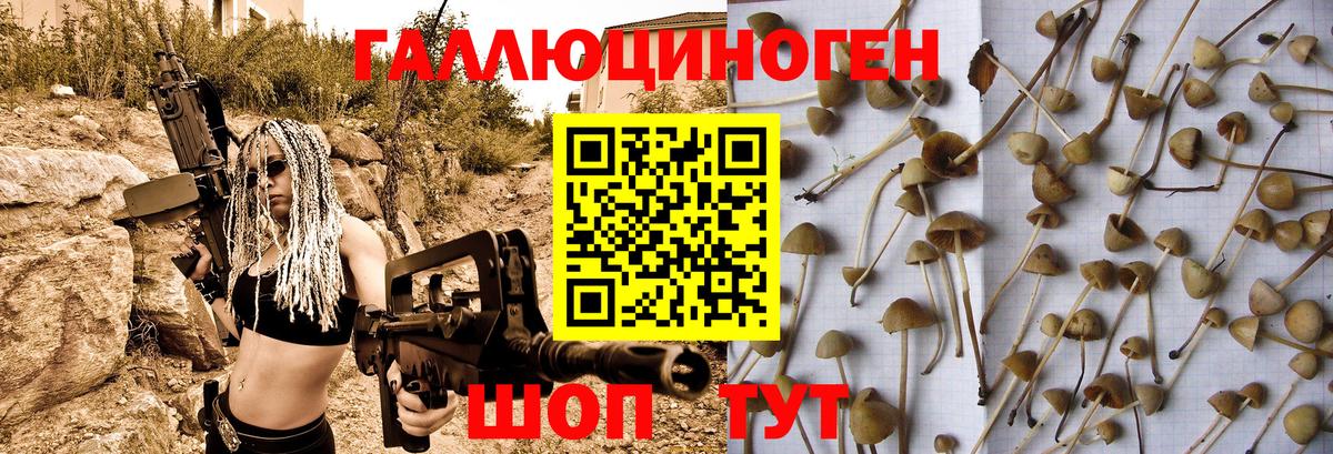 Назарово  Галлюциногенные грибы Magic Shrooms  где продают   Вход с VPN 